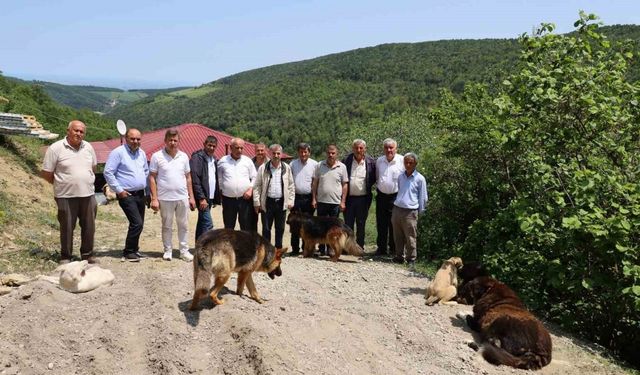 Samsun'da muhtar ve mahalleliden izinsiz oluşturulan köpek barınağına tepki