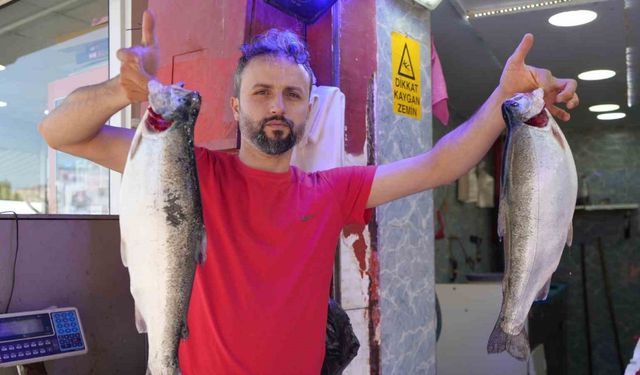 Somon en çok tercih edilen balık oldu