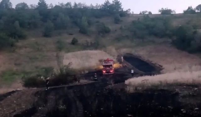 Tarlada yangın çıktı, ekipler eve sıçramasını önledi