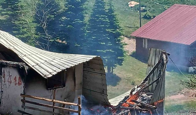 Yayla evinde yangın çıktı
