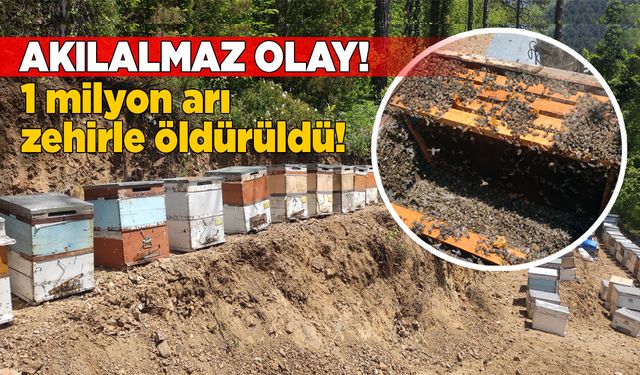 1 milyon arı zehirle öldürüldü