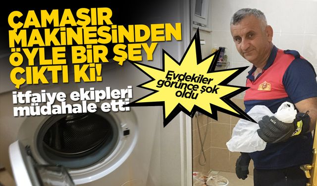 Sinop’ta çamaşır makinesinden öyle bir şey çıktı ki…