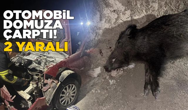 Otomobil yaban domuzuna çarptı