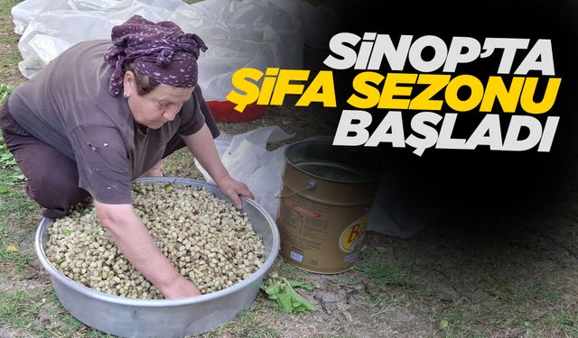 Sinoplular bu lezzeti çok iyi bilir!