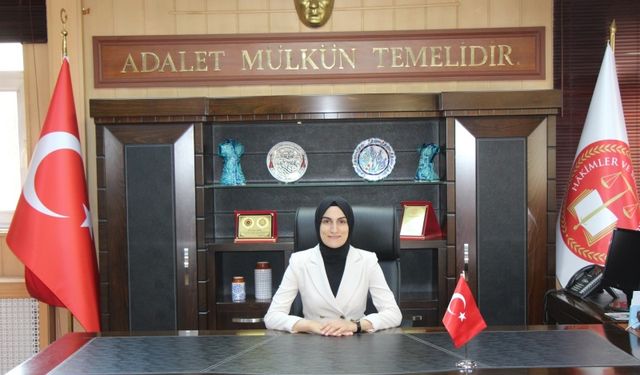 Sinop Ağır Ceza Mahkemesi'ne yeni başkan atandı