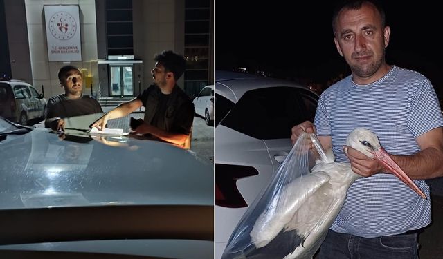 Sinop’ta yaralı bulunan leylek tedavi ediliyor