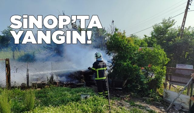 Sinop’ta odun deposunda yangın