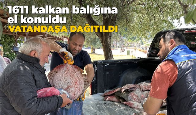 Sinop'ta kaçak avcılar sevkiyatta yakalandı