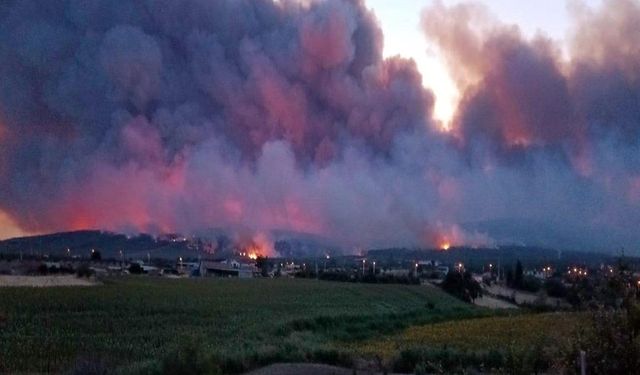 11 orman işçisi hayatını kaybetti