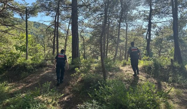 Jandarma ekipleri orman yangınlarına karşı teyakkuzda