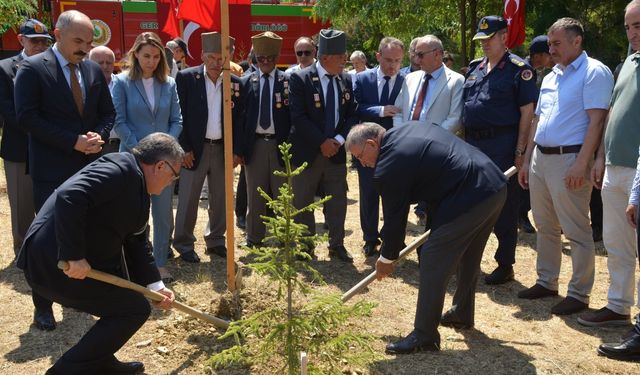 Sinop'ta 15 Temmuz şehidinin adı hatıra ormanında yaşatılıyor