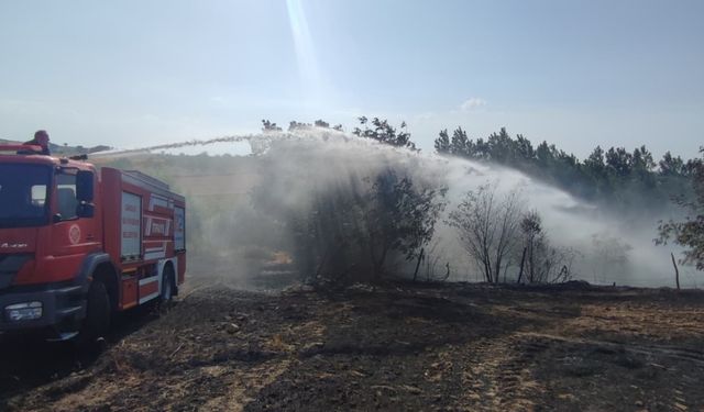 40 dönüm alan yangında zarar gördü