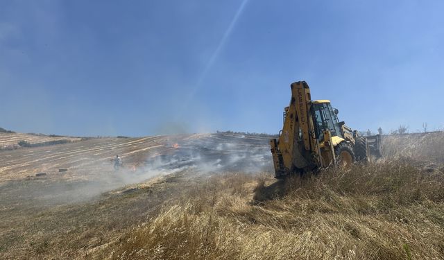 50 dönüm tarım arazisi yangında zarar gördü