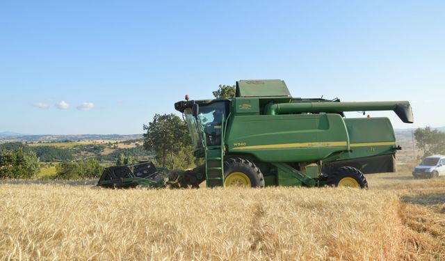 Havza'da 90 bin ton buğday rekoltesi bekleniyor