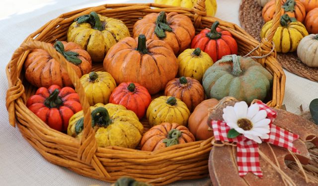 "Kadın Emeği Festivali" düzenlendi