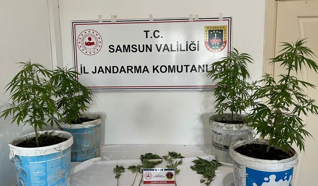 Salıpazarı'nda narkotik operasyonu: 1 gözaltı