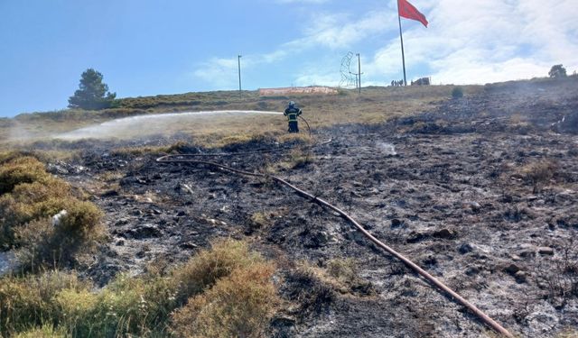 Sinop Ada mevkiinde çıkan örtü yangını söndürüldü