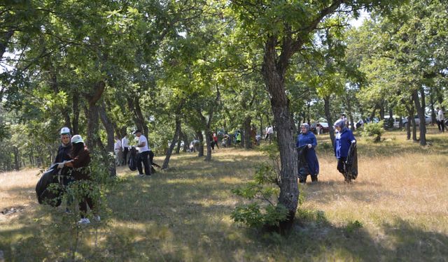 Yangın riskine karşı doğada temizlik yapıldı