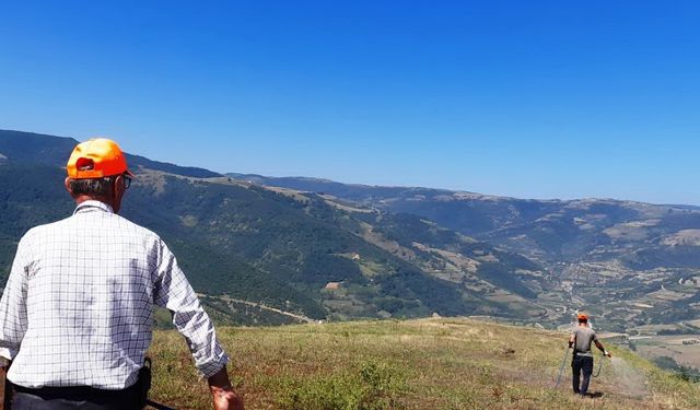 Çekirge istilasına karşı devlet destekli ilaçlama yapıldı