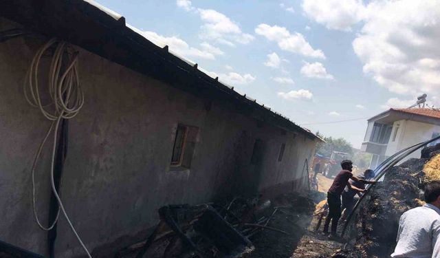 Çorum’da çıkan yangında 550 balya ot yandı