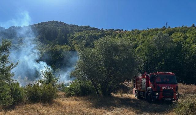 Kastamonu’da ormanlık alanda yangın