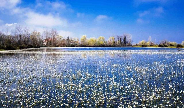 Samsun’daki tabiat parklarına rekor ziyaret