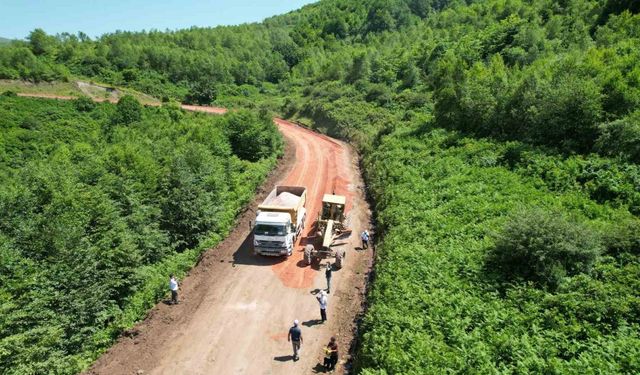 Tokat ve Ordu arasında yeni ulaşım güzergahı oluşturuluyor