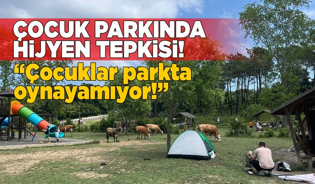 Çocuk parkında hijyen sorununa tepki gösterildi
