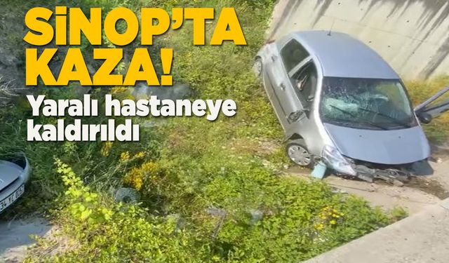 Kontrolden çıkan otomobilin sürücüsü yaralandı