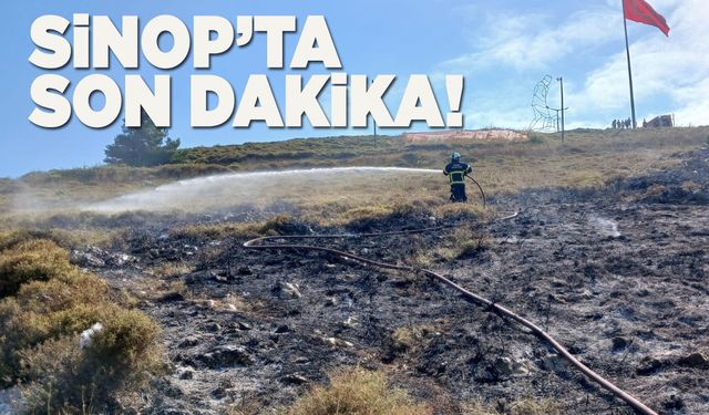 Şahin Tepesi’nde makilik alanda yangın çıktı