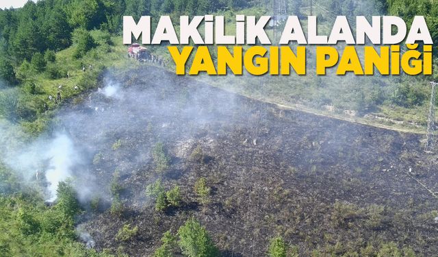 İlçede makilik alanda yangın çıktı