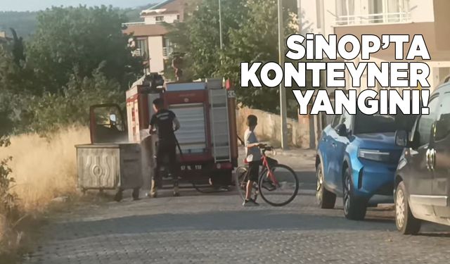 Çöp konteynerinde yangın paniği