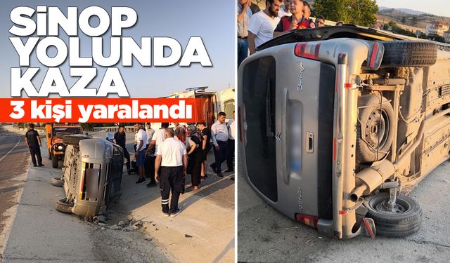 Hafif ticari araç devrildi: 3 yaralı