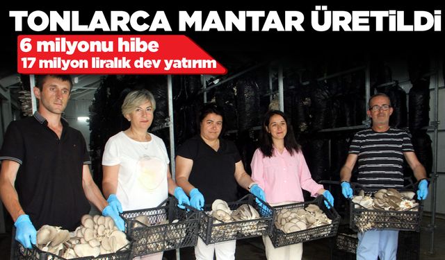 Sinop'ta kadın girişimciler el ele verdi