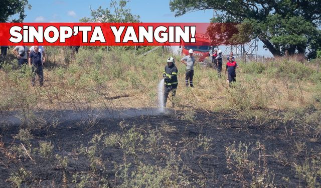 Sinop’ta çöp yangını otlara sıçrayarak büyüdü