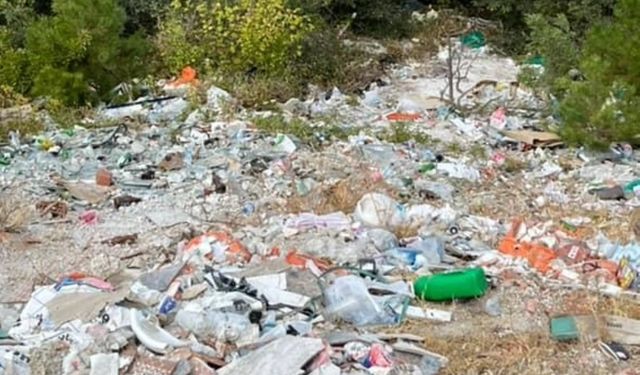 Yol kenarına atılan çöpler tepki çekti