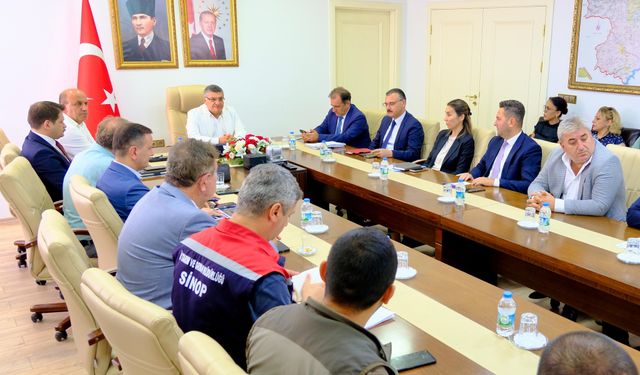 Sinop'ta sokak hayvanları için yol haritası belirlendi