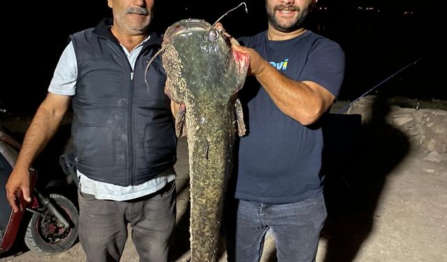 153 santimetre uzunluğunda yayın balığı avlandı
