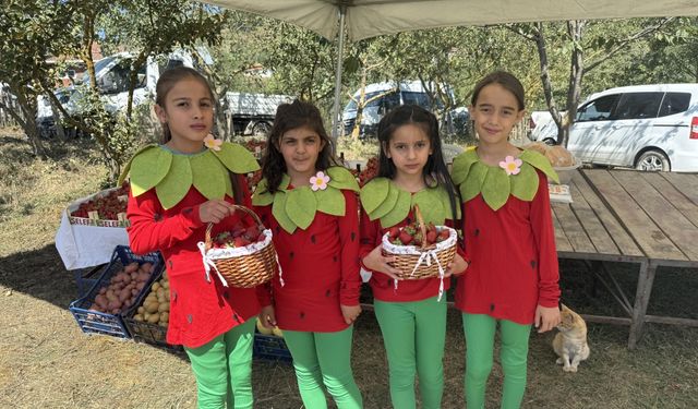 3. Dürtmen Yaylası Çilek Festivali yapıldı