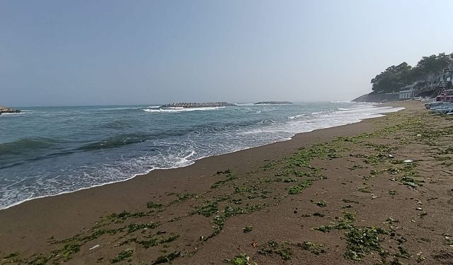Sakarya ve Düzce'de denize giriş yasağı