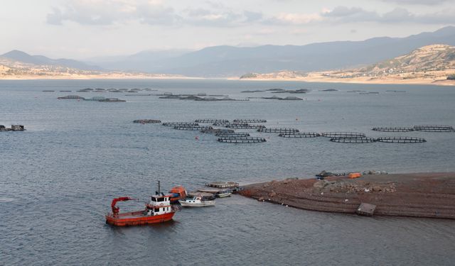 Tokat'tan yurt dışına balık ihracatı
