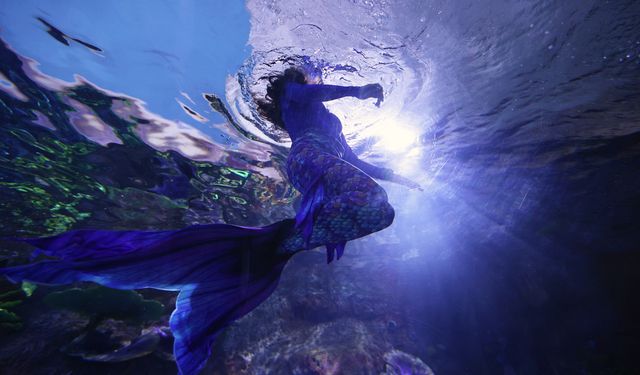 Trabzon Akvaryum'da 'deniz kızı' gösterisi