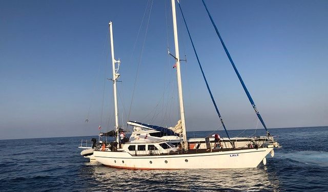 115 düzensiz göçmen yakalandı