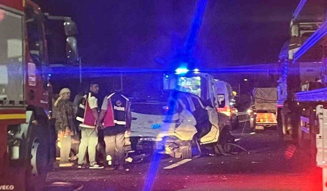 Aniden yola çıkan domuz kazaya neden oldu