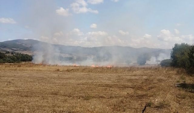 Anız yangını ormana sıçramadan söndürüldü