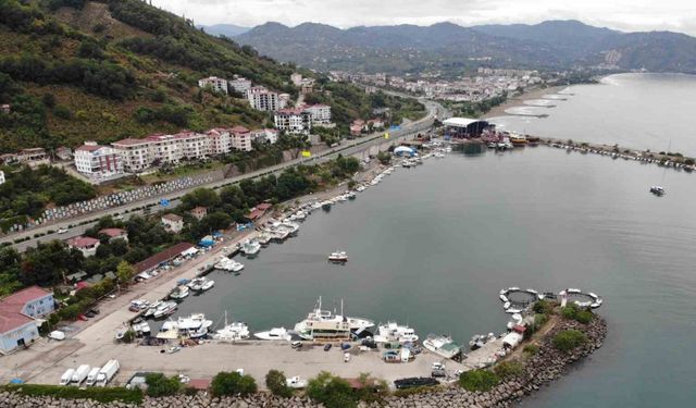 Balıkçılar bu yıl hamsiden umutlu
