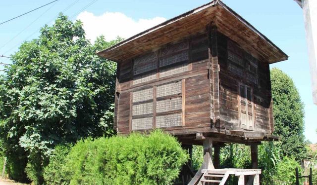 Kırsal mimarinin geleneksel öğesi: "Serendi"