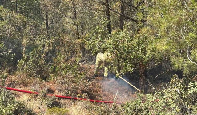 Orman yangını kontrol altına alındı