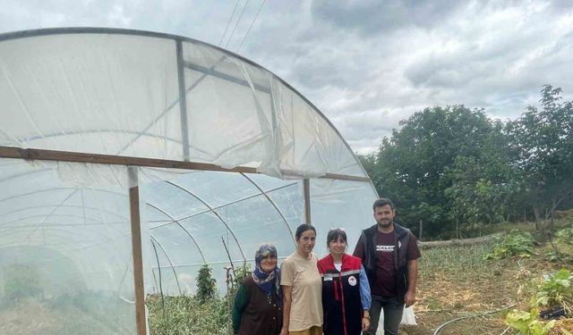 Sinop’ta modern seraların kurulumu tamamlandı