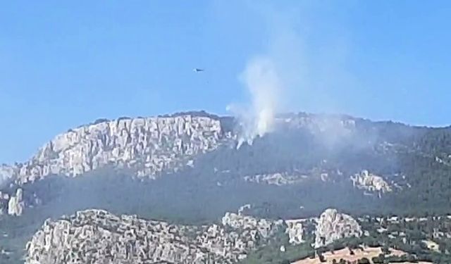 Sinop’taki yangını soğutma çalışmaları sürüyor